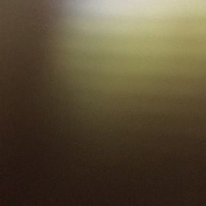 Meet your Posher, Lola